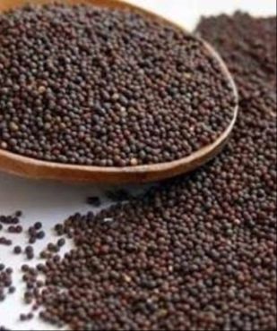 Mustard Seed 1Kg